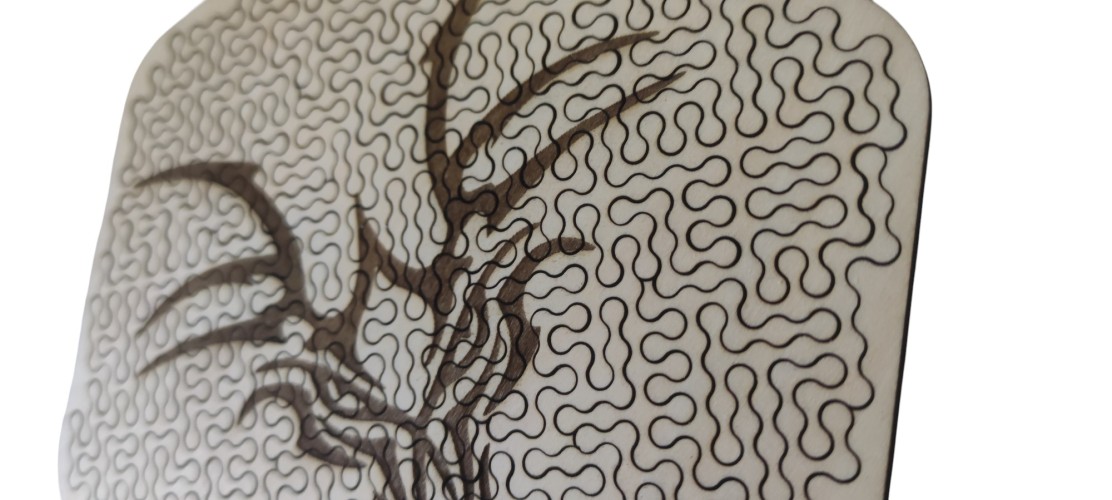 Le Puzzle du Dragon - Vue 5