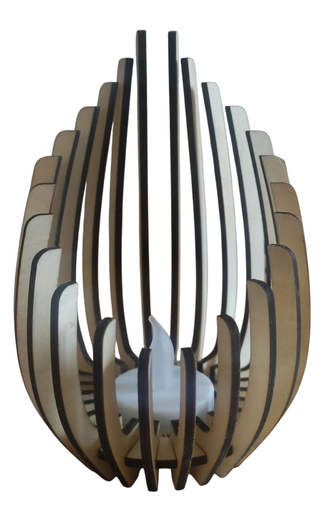 {'Photophore - Œuf'}