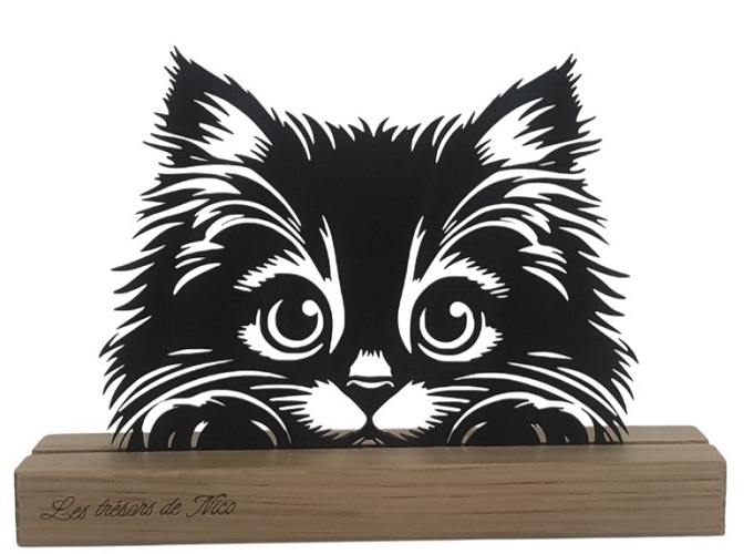 Le Chat - Vue Principale