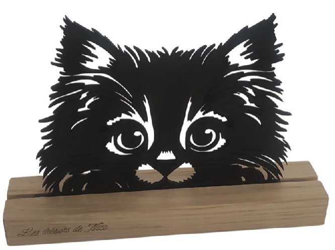 Le Chat - Vue 4