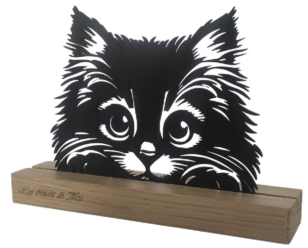 Le Chat - Vue 5