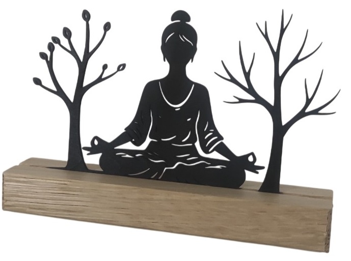 La posture de Yoga - Vue 5