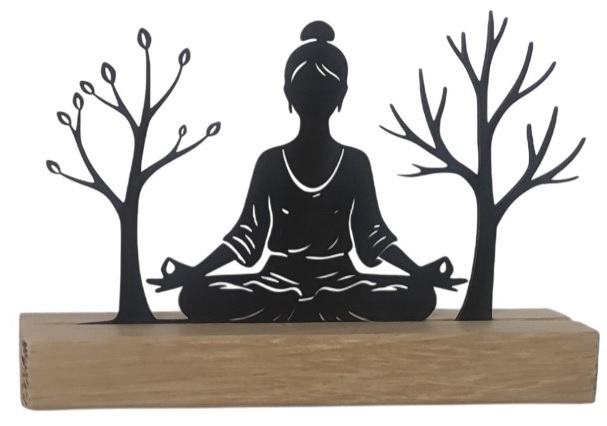 {'La posture de Yoga'}